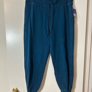 JoyLab Women's teal Joggers and hoodie!!
